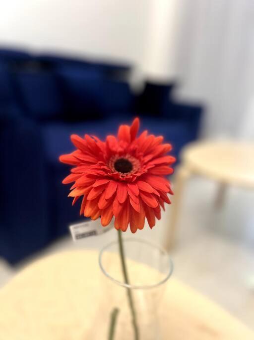 La Valentine 1 Bhk Apartament *